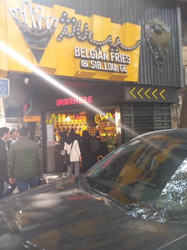 عکس سیب زمینی لانژ