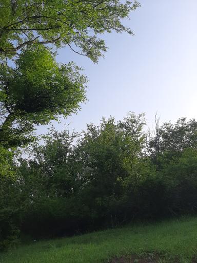 عکس روستای نقله بر