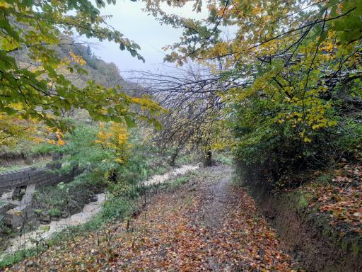 عکس روستای نقله بر