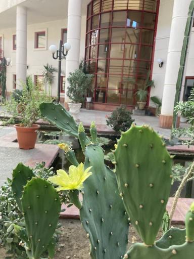 عکس دانشگاه زنجان