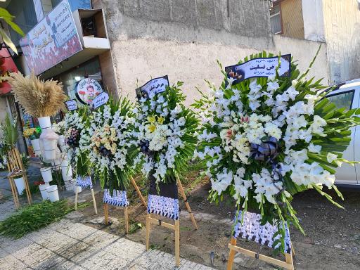 عکس گل فروشی پسرک گلفروش