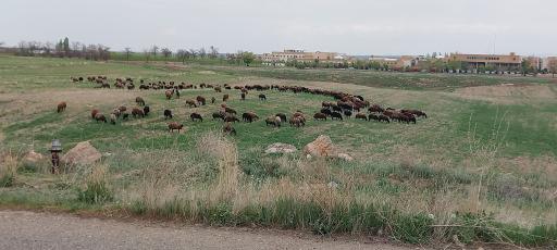 عکس دانشگاه زنجان