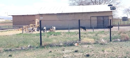 عکس دانشگاه زنجان