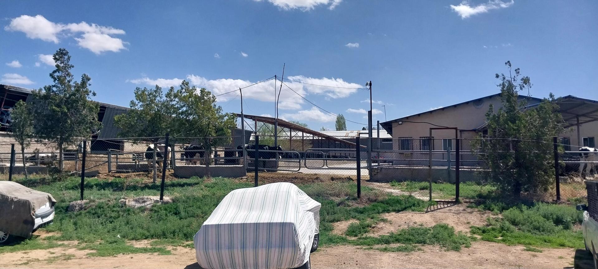 عکس دانشگاه زنجان