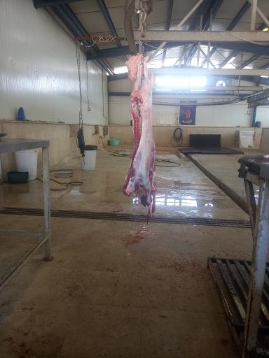 عکس کشتارگاه حکیمیه