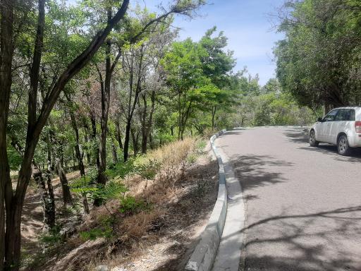 عکس دانشگاه زنجان