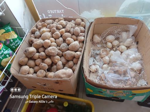 عکس مینی سوپر یاسین 