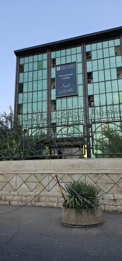 کالج بین المللی دانشگاه علوم پزشکی تهران