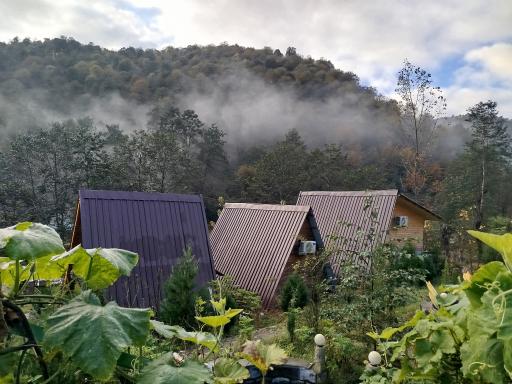 عکس مجموعه گردشگری ماه بی بی