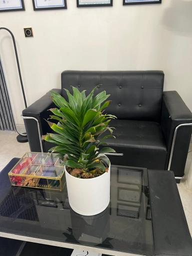 عکس مطب روانشناسی دکتر دانیال داودی راد