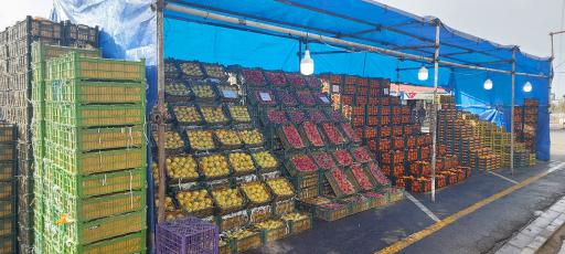 عکس میوه فروشی مفاخری 