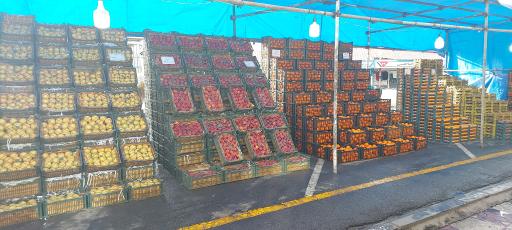 عکس میوه فروشی مفاخری 