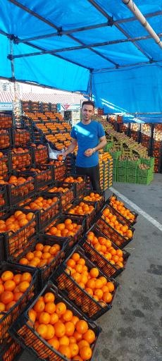 عکس میوه فروشی مفاخری 