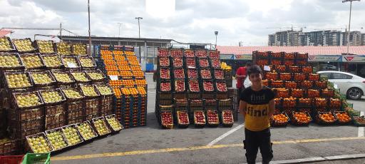 عکس میوه فروشی مفاخری 