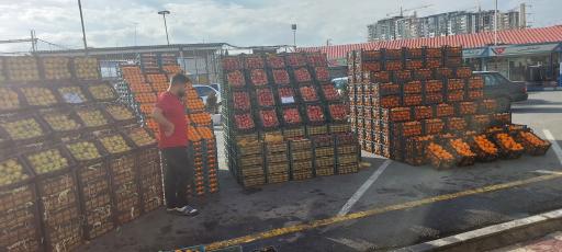 عکس میوه فروشی مفاخری 