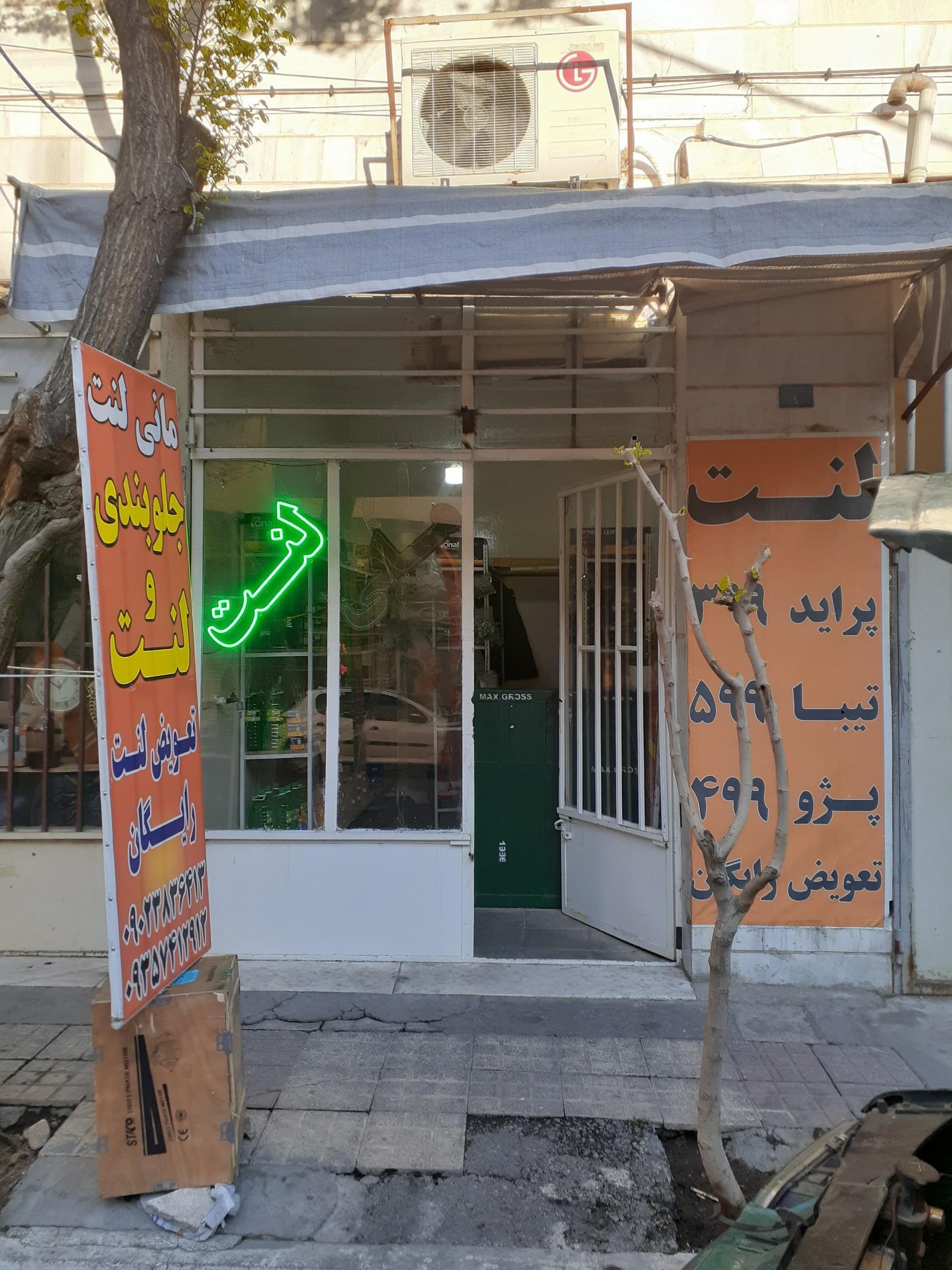 عکس مانی لنت