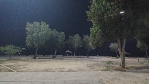 عکس پارک ولایت