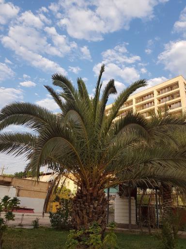 عکس اتحادیه شرکتهای تعاونی روستایی اهواز