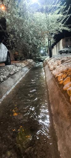 عکس جوی معاضدیه 