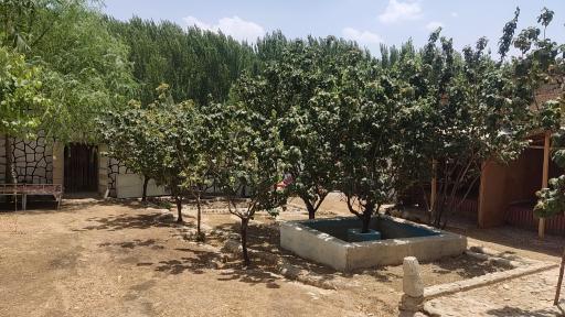 عکس رستوران و کافی شاپ مهران