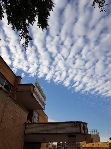 عکس اتحادیه شرکتهای تعاونی روستایی اهواز