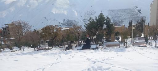 عکس کشار علیا