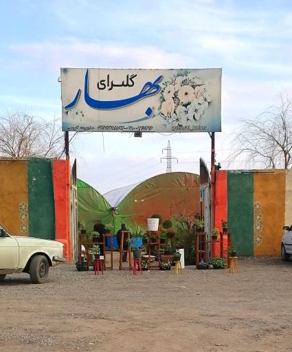 عکس گلسرای بهار