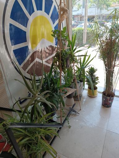 عکس بیمه ایران محب الرضا