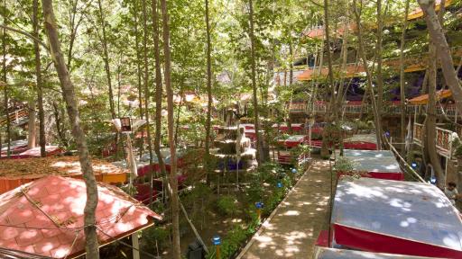 عکس رستوران نهارستان زیتون 