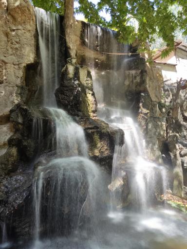 عکس رستوران نهارستان زیتون 