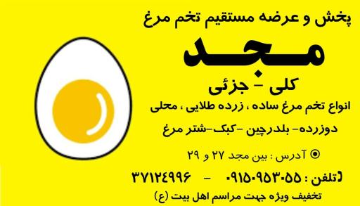 عکس پخش تخم مرغ مجد