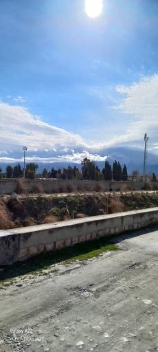 عکس بندر گز