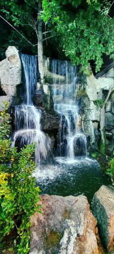 عکس رستوران نهارستان زیتون 