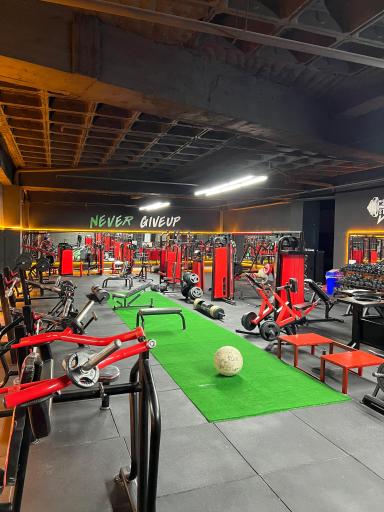 عکس مجموعه ورزشی قدرت برتر