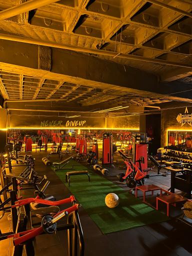 عکس مجموعه ورزشی قدرت برتر