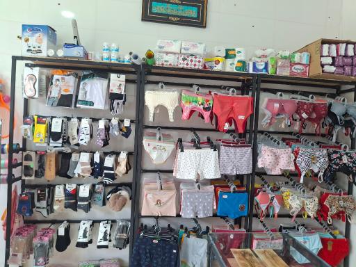 عکس گالری پاپیون 