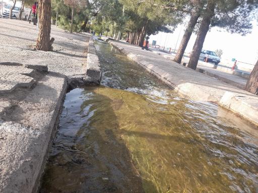 عکس بوستان معلم