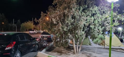 عکس بوستان معلم