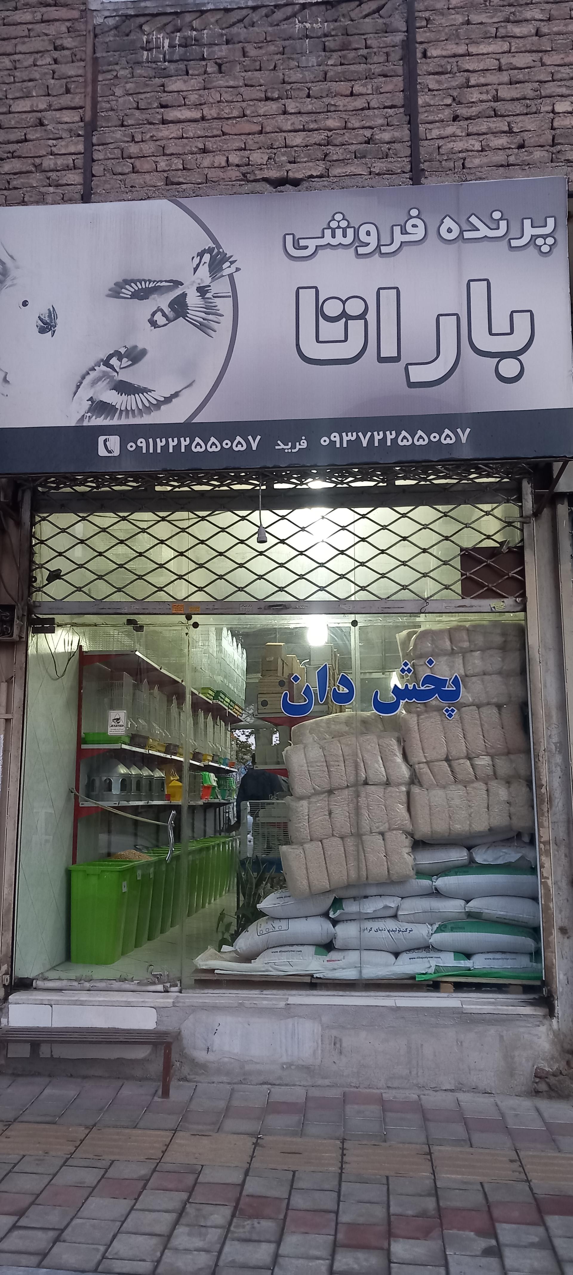 عکس پرنده فروشی باراتا