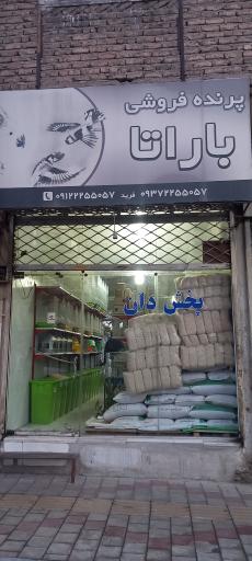 عکس پرنده فروشی باراتا