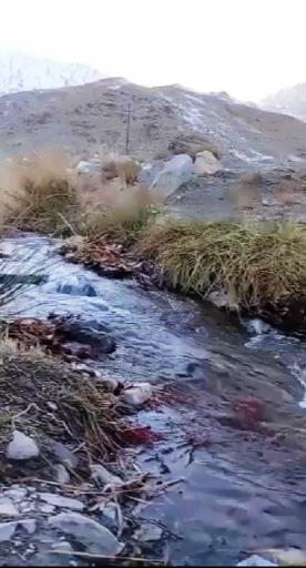 عکس ماهان