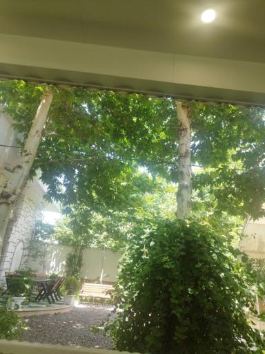 عکس کافه رستوران باغ لیمو