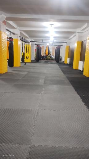 عکس باشگاه همتا 