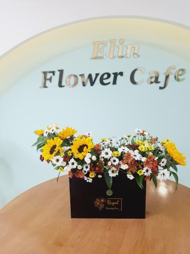 عکس کافه گل الین