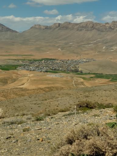 عکس بارده