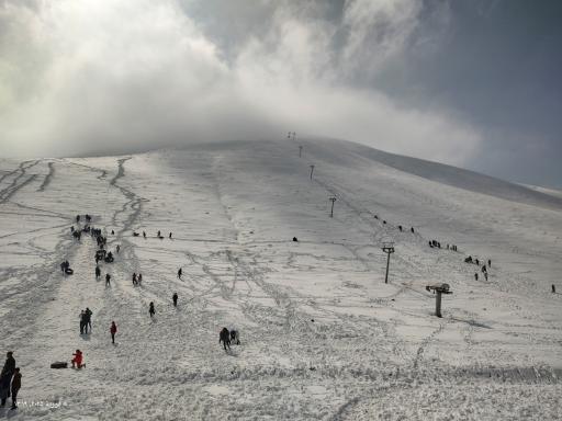 عکس بارده