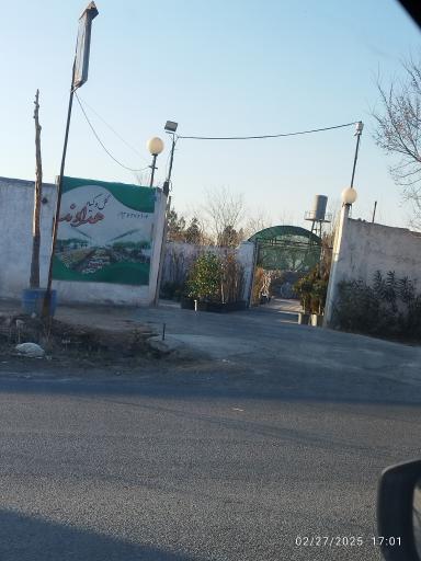 عکس گل و گیاه هداوند