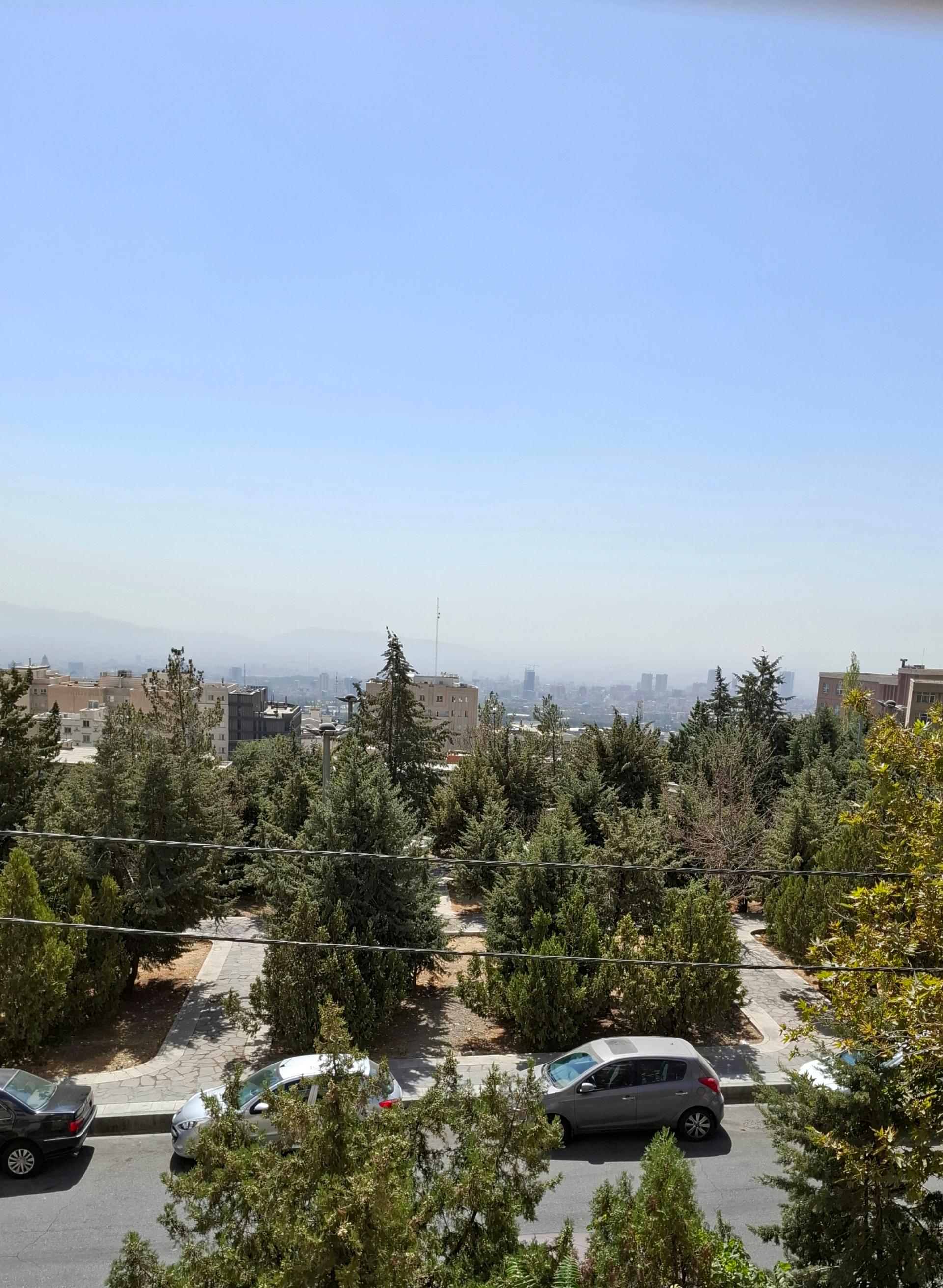 عکس پارک ترمه