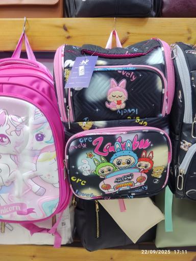 عکس کیف و کفش پاناز