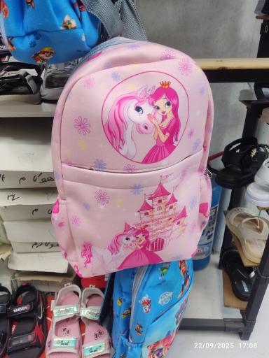 عکس کیف و کفش پاناز